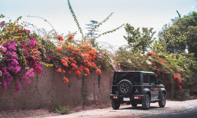 The Expert's Guide to Transforming Your Damaged Jeep Hardtop