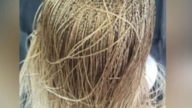 Braided Box Braid Styles Chic Inspirations for Every Occasion