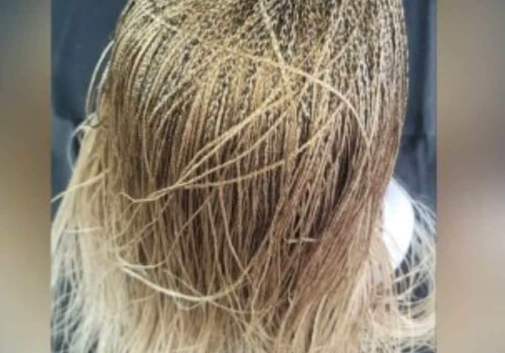 Braided Box Braid Styles Chic Inspirations for Every Occasion