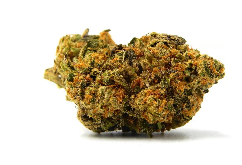 Cultivating Success Cannabis Production Facility Design Essentials