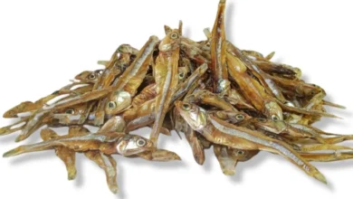 dried-whole-fish