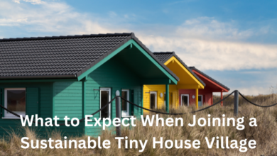 What to Expect When Joining a Sustainable Tiny House Village
