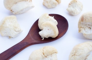 What is the recommended dosage of reishi mushroom extract for adults